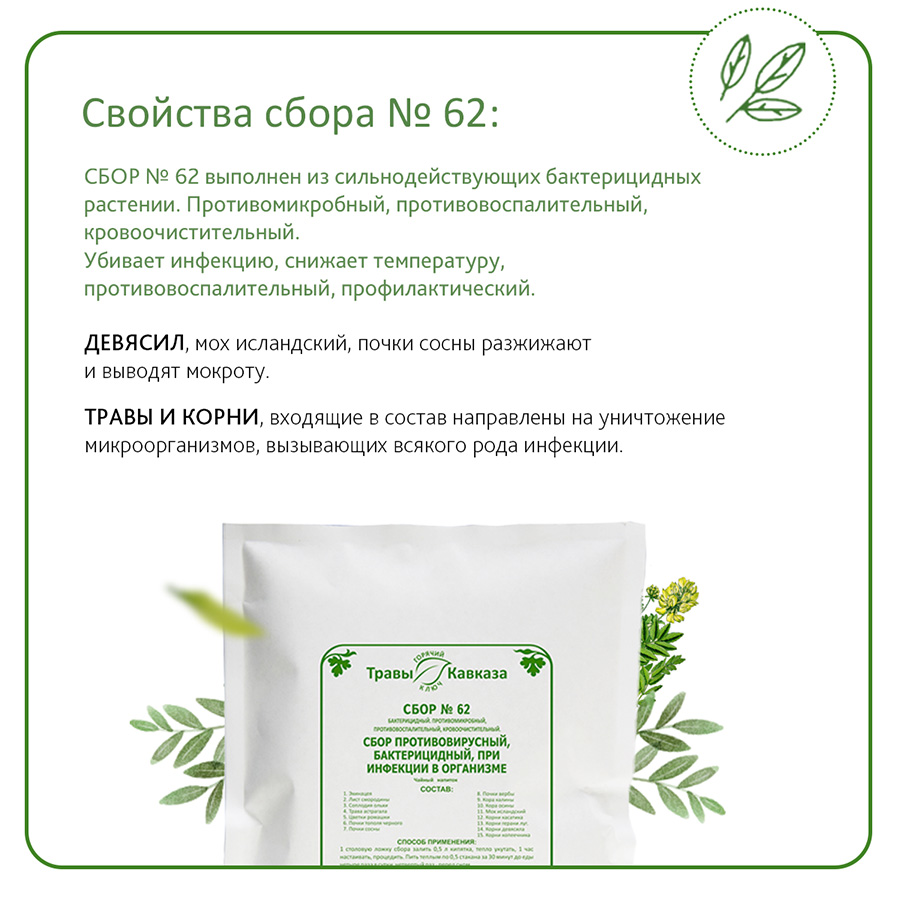 №62 Сбор противовирусный, бактерицидный, при инфекции в организме, 200 гр.