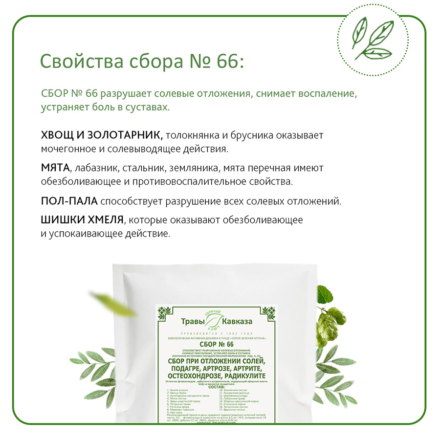 №66 Сбор при отложении солей, подагре, артрозе, остеохондрозе, артрите, радикулите, 200 гр.