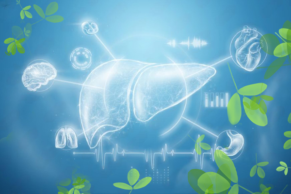Как восстановить печень в домашних условиях: руководство к действию Как восстановить печень в домашних условиях: руководство к действию