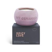 My Geranica / Свеча натуральная соевая "Spicy Love", 110 мл