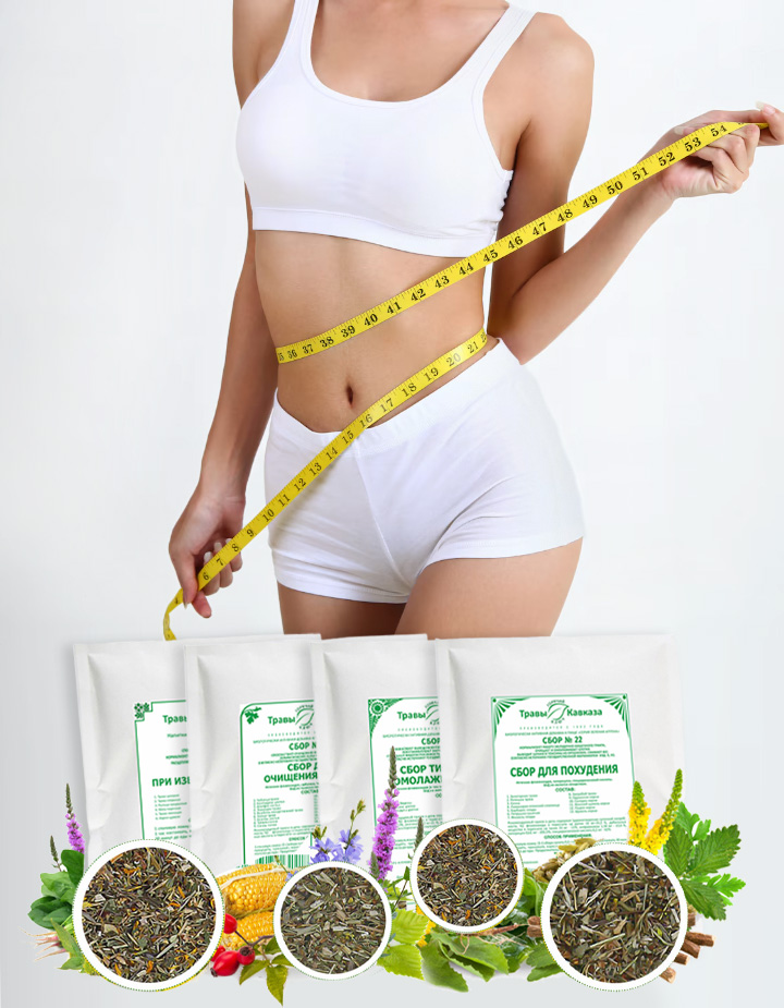 Травы для похудения сжигающие жир