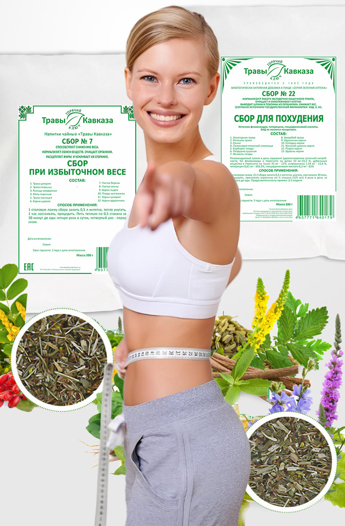 сбор трав для похудения