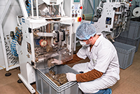 «Травы Кавказа» — эталон качества в производстве фитосырья