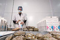 На производстве лекарственных трав