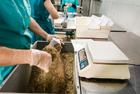 Упаковка лекарственных трав