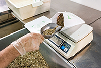 Производство лечебных сборов трав