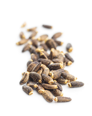 Расторопша для печени