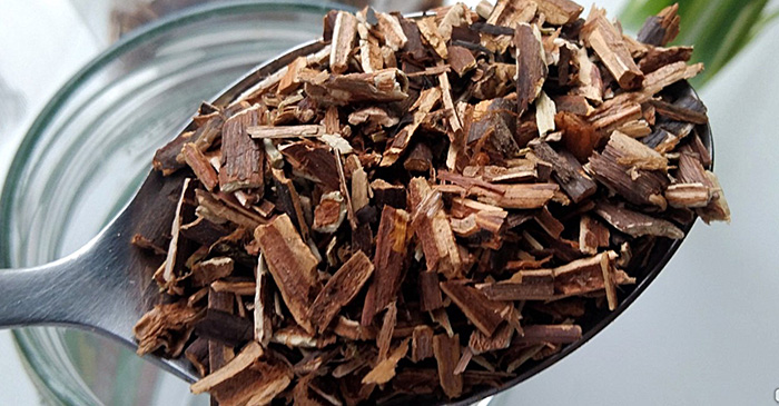 Корень сабельника